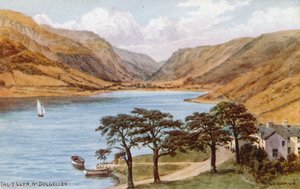 Tal-y-Llyn, Nr. Dolgelley